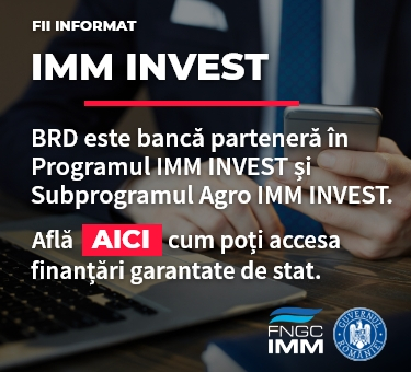 IMM < 1M Euro IMM Invest RO