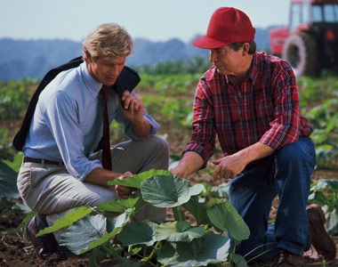 Agricultural insurances for small entrepreneurs - Slider EN AGRI