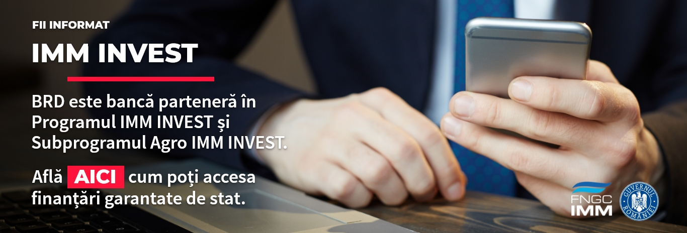 IMM < 1M Euro IMM Invest RO