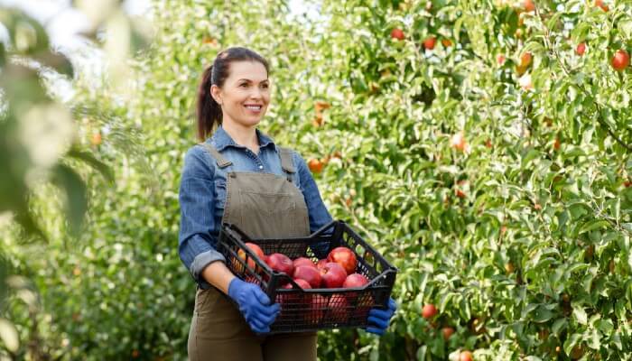 AGRI PJ Scrisori de garanție bancară