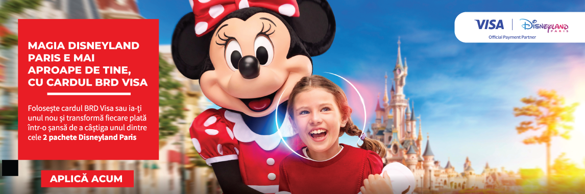 Card de Zi cu Zi Disneyland