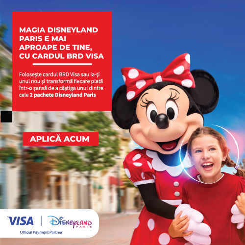 Card de Zi cu Zi Disneyland