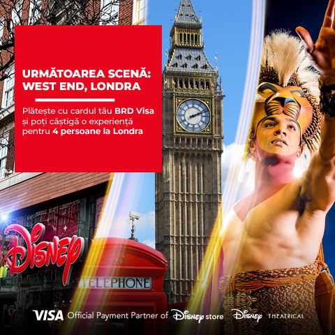 Usage Carduri Zi de Zi - Visa West End London 